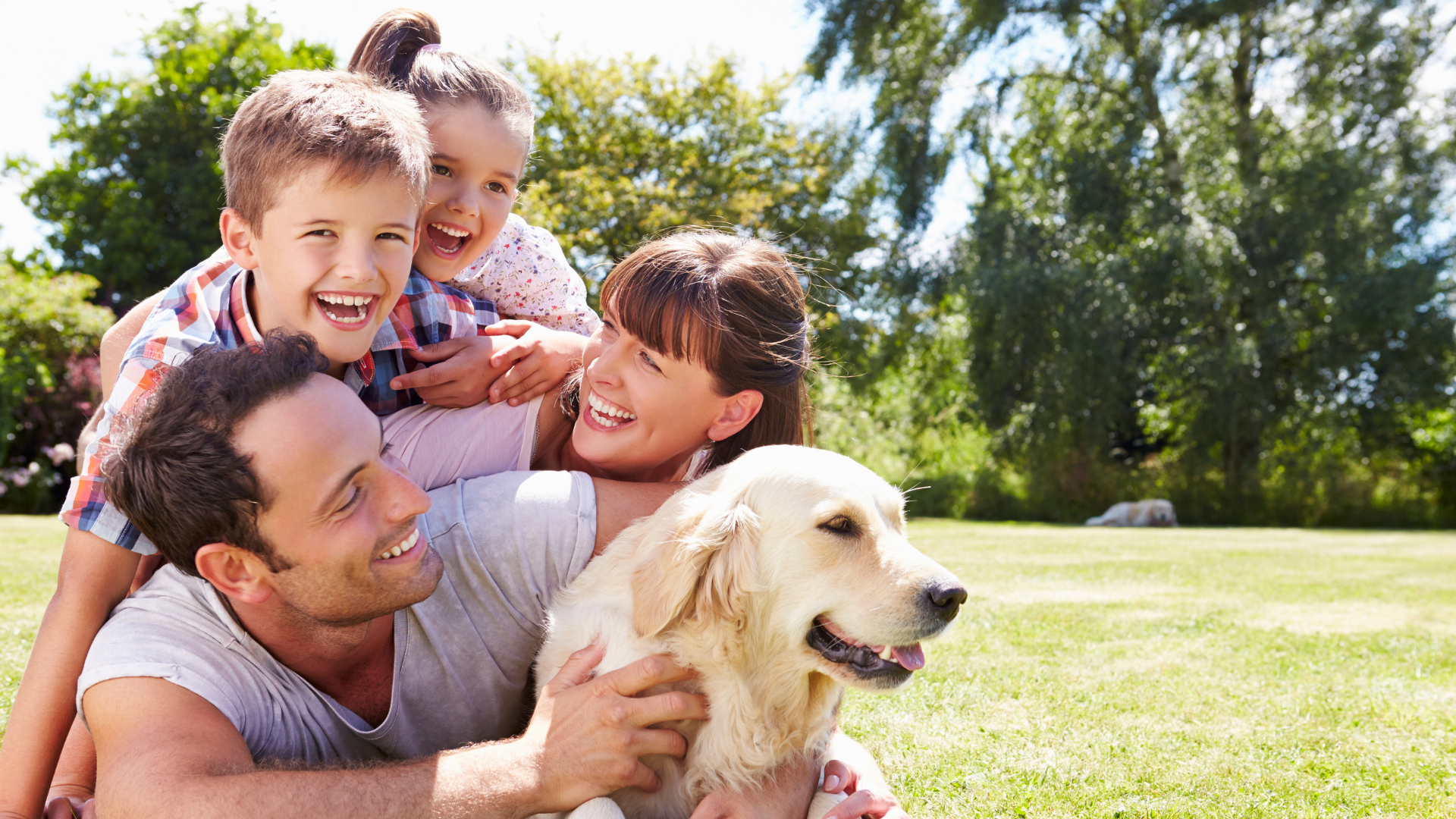 A family of four playing with their dog on the grass in their backyard.