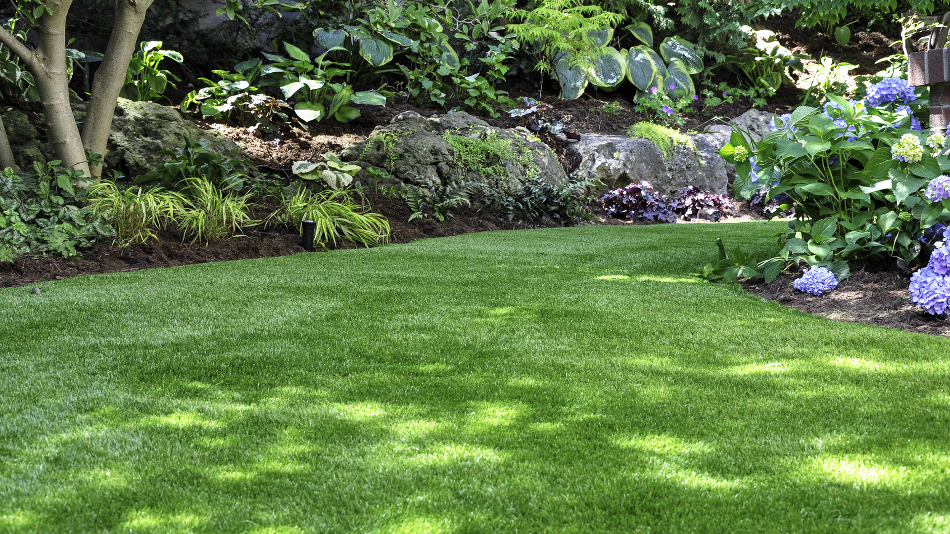 A freshly mowed lawn and well-manicured garden in a backyard.