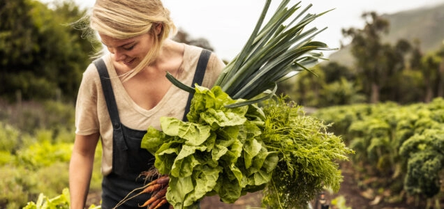 Farmer harvesting vegetables on a farm.