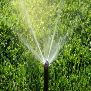 smart irrigation system watering lush lawn