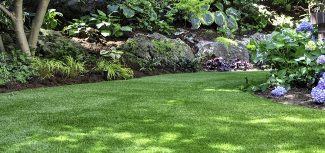 A freshly mowed lawn and well-manicured garden in a backyard.
