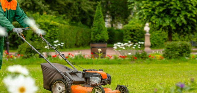 A person mowing the lawn in their backyard with an electric lawnmower.
