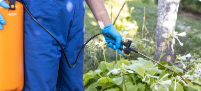 An outdoor pest control technician applying treatment to greenery.